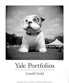 20 by 24 inch Yale bulldog poster
